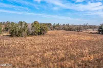 2045 US Highway 90, Cottondale, FL 32431 - Photo 3