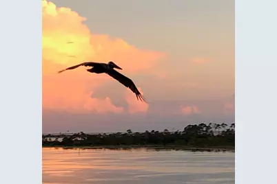 4600 Kingfish Lane #306, Panama City, FL 32408 - Photo 11