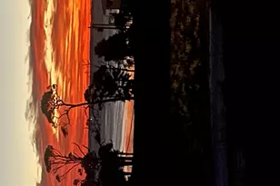 7070 Cape San Blas Rd, Port Saint Joe, FL 32456 - Photo 55