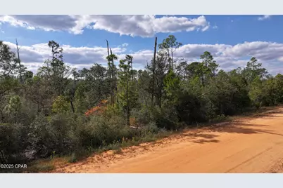 Tbd Hillside Drive, Marianna, FL 32448 - Photo 3