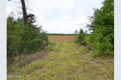 0 Glenmore Court, Marianna, FL 32446 - Photo 7