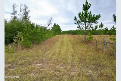 Tbd Glenmore Court, Marianna, FL 32446 - Photo 5