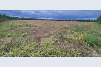 Tbd Glenmore Court, Marianna, FL 32446 - Photo 15