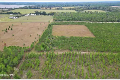 Tbd Glenmore Court, Marianna, FL 32446 - Photo 7