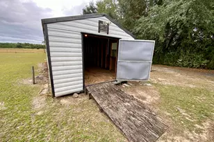 3672 Northside Church Rd, Greenwood, FL 32443 - Photo 33