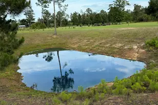 11832 Owenwood Rd, Fountain, FL 32438 - Photo 53