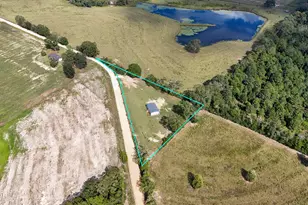 1139 Buddy Gilley Rd, Bonifay, FL 32425 - Photo 5