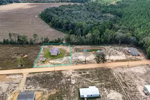 2776 Bonifay Gritney Rd, Bonifay, FL 32425 - Photo 39