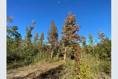 7939 John Pitts Road, Panama City, FL 32404 - Photo 13