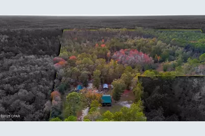 38134 SW Forest Road 123, Bristol, FL 32321 - Photo 3