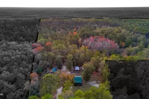 38134 SW Forest Road 123, Bristol, FL 32321 - Photo 3