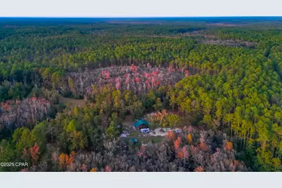 38134 SW Forest Road 123, Bristol, FL 32321 - Photo 39