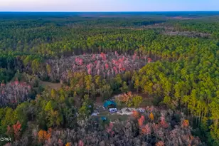 38134 SW Forest Road 123, Bristol, FL 32321 - Photo 39