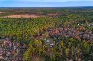 38134 SW Forest Road 123, Bristol, FL 32321 - Photo 37