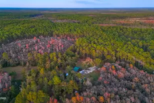 38134 SW Forest Road 123, Bristol, FL 32321 - Photo 39