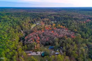 38134 SW Forest Road 123, Bristol, FL 32321 - Photo 35