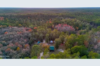 38134 SW Forest Road 123, Bristol, FL 32321 - Photo 35