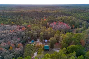 38134 SW Forest Road 123, Bristol, FL 32321 - Photo 35