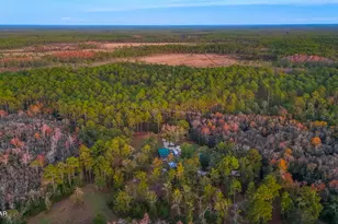 38134 SW Forest Road 123, Bristol, FL 32321 - Photo 37