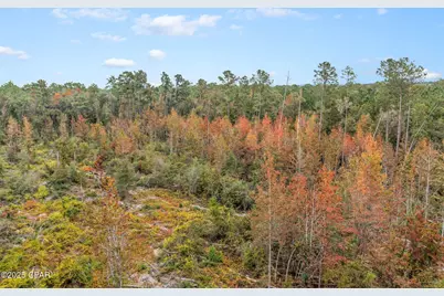 000 Mud Hill Road, Chipley, FL 32428 - Photo 11