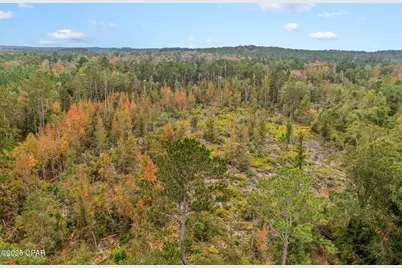 000 Mud Hill Road, Chipley, FL 32428 - Photo 13