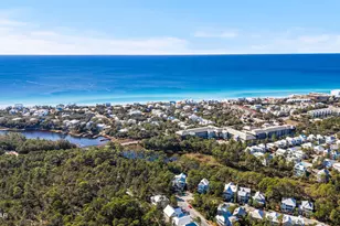 325 Matt's Way, Santa Rosa Beach, FL 32459 - Photo 51