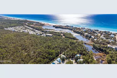 325 Matt's Way, Santa Rosa Beach, FL 32459 - Photo 59