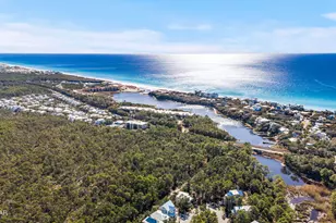 325 Matt's Way, Santa Rosa Beach, FL 32459 - Photo 59