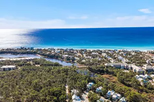 325 Matt's Way, Santa Rosa Beach, FL 32459 - Photo 57