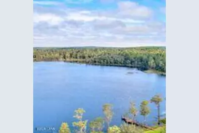 Lot 21 Paradise Lakes Road, Chipley, FL 32428 - Photo 5