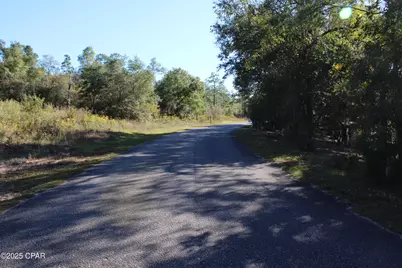 Lot 21 Paradise Lakes Road, Chipley, FL 32428 - Photo 43