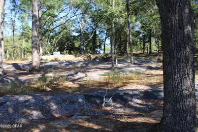 Lot 21 Paradise Lakes Road, Chipley, FL 32428 - Photo 19