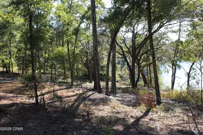Lot 21 Paradise Lakes Road, Chipley, FL 32428 - Photo 13