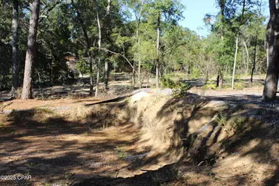 Lot 21 Paradise Lakes Road, Chipley, FL 32428 - Photo 35