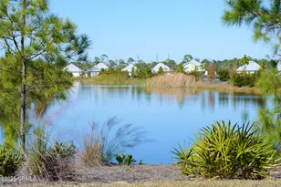 138 Pond Cypress Cv, Port Saint Joe, FL 32456 - Photo 85