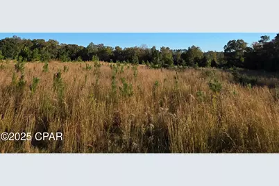 2785 Otter Pond Road, Westville, FL 32464 - Photo 15