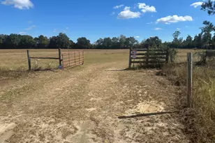 4584 Dunaway Rd, Bascom, FL 32423 - Photo 39