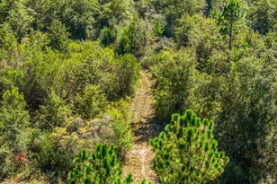 2555 E Hwy 388, Panama City, FL 32409 - Photo 47