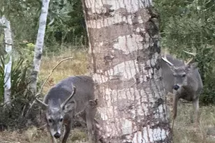 2555 E Hwy 388, Panama City, FL 32409 - Photo 39