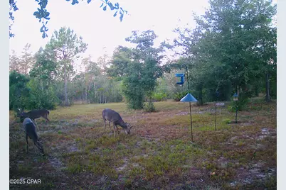 2555 E Highway 388, Panama City, FL 32409 - Photo 37