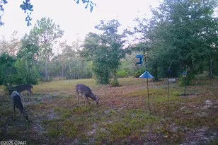 2555 E Hwy 388, Panama City, FL 32409 - Photo 37