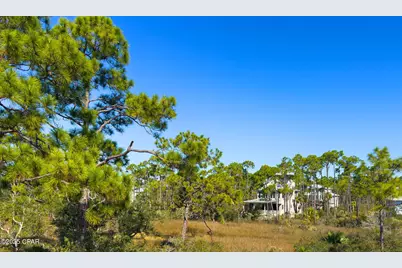 436 Windmark Way, Port Saint Joe, FL 32456 - Photo 31