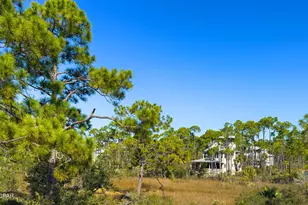 436 Windmark Way, Port Saint Joe, FL 32456 - Photo 31