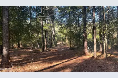 Xxx Co 147 Highway, Laurel Hill, FL 32567 - Photo 27