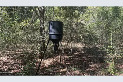 Xxx Co 147 Highway, Laurel Hill, FL 32567 - Photo 29