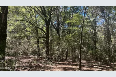 Xxx Co 147 Highway, Laurel Hill, FL 32567 - Photo 19