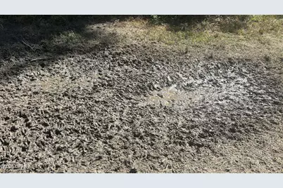 Xxx Co 147 Highway, Laurel Hill, FL 32567 - Photo 31