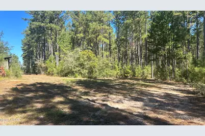 Xxx Co 147 Highway, Laurel Hill, FL 32567 - Photo 5