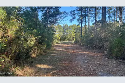 Xxx Co 147 Highway, Laurel Hill, FL 32567 - Photo 37