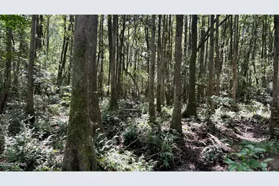 Xxx Co 147 Highway, Laurel Hill, FL 32567 - Photo 15